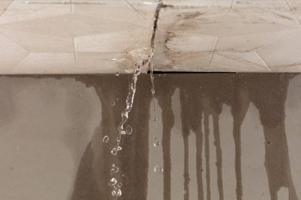 Professional Sewage Cleanup technician working in Delavan, IL
